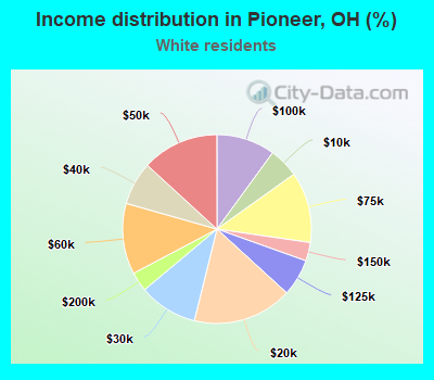 Income distribution in Pioneer, OH (%)