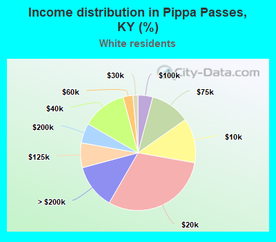 Income distribution in Pippa Passes, KY (%)