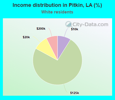 Income distribution in Pitkin, LA (%)