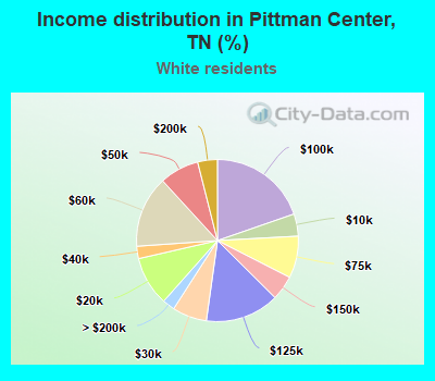 Income distribution in Pittman Center, TN (%)