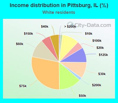 Income distribution in Pittsburg, IL (%)