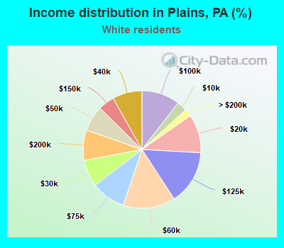Income distribution in Plains, PA (%)