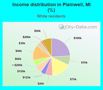 Income distribution in Plainwell, MI (%)