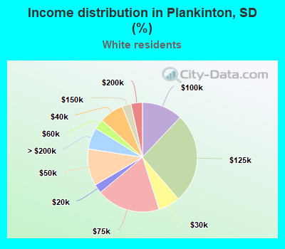 Income distribution in Plankinton, SD (%)