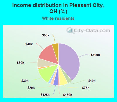 Income distribution in Pleasant City, OH (%)