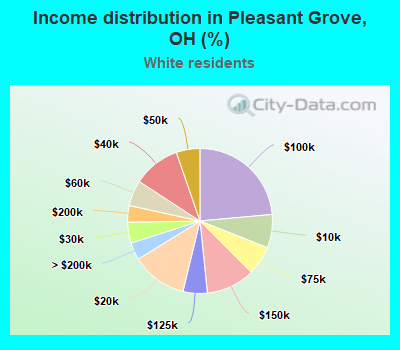 Income distribution in Pleasant Grove, OH (%)