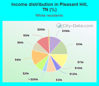 Income distribution in Pleasant Hill, TN (%)