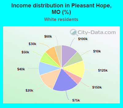 Income distribution in Pleasant Hope, MO (%)
