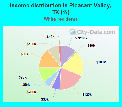 Income distribution in Pleasant Valley, TX (%)