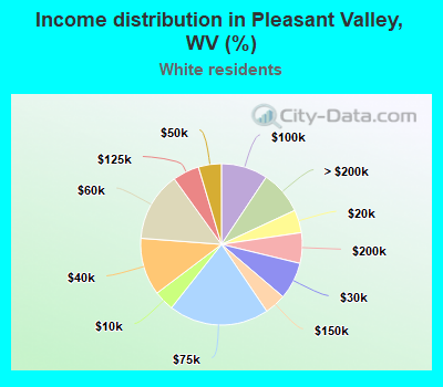Income distribution in Pleasant Valley, WV (%)