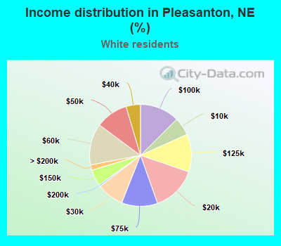 Income distribution in Pleasanton, NE (%)