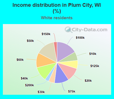 Income distribution in Plum City, WI (%)