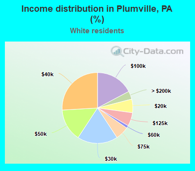 Income distribution in Plumville, PA (%)