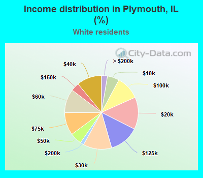 Income distribution in Plymouth, IL (%)