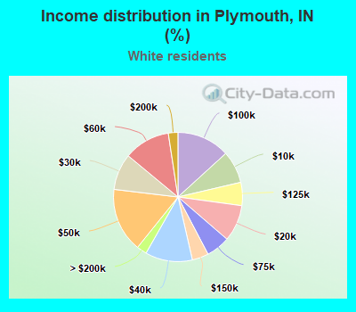 Income distribution in Plymouth, IN (%)
