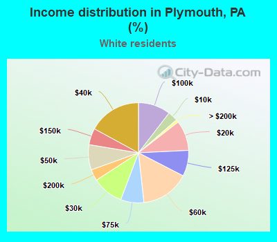 Income distribution in Plymouth, PA (%)