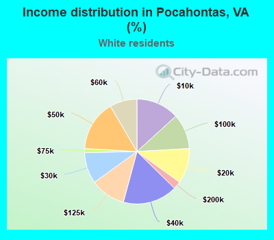 Income distribution in Pocahontas, VA (%)