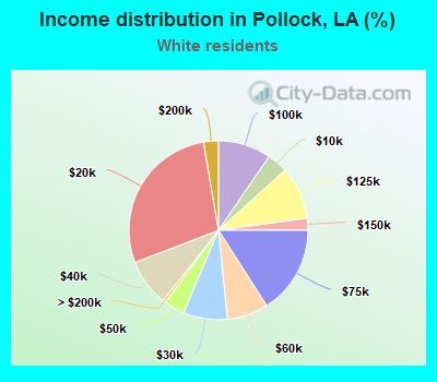 Income distribution in Pollock, LA (%)