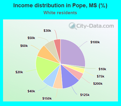 Income distribution in Pope, MS (%)