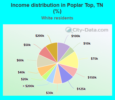 Income distribution in Poplar Top, TN (%)