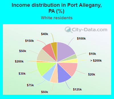 Income distribution in Port Allegany, PA (%)
