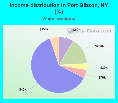 Income distribution in Port Gibson, NY (%)