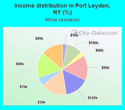 Income distribution in Port Leyden, NY (%)