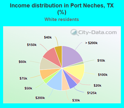 Income distribution in Port Neches, TX (%)