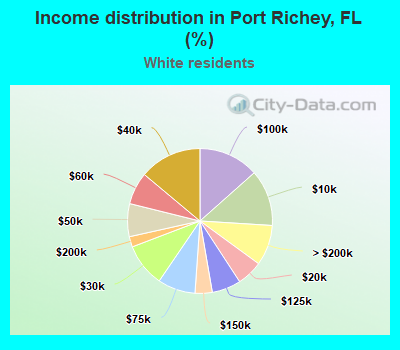 Income distribution in Port Richey, FL (%)