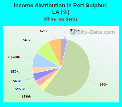 Income distribution in Port Sulphur, LA (%)