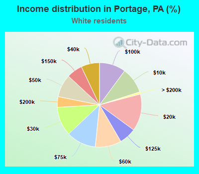 Income distribution in Portage, PA (%)