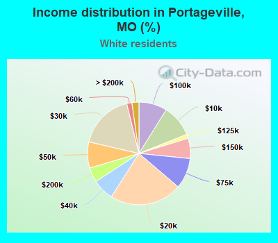 Income distribution in Portageville, MO (%)