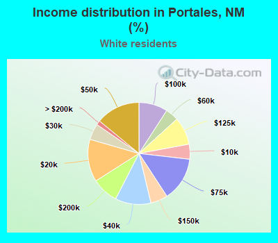 Income distribution in Portales, NM (%)