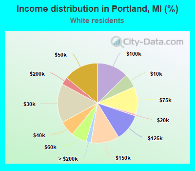 Income distribution in Portland, MI (%)