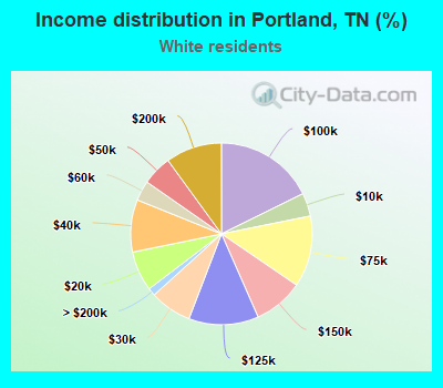 Income distribution in Portland, TN (%)