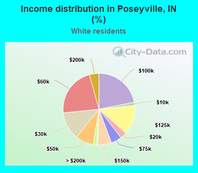 Income distribution in Poseyville, IN (%)