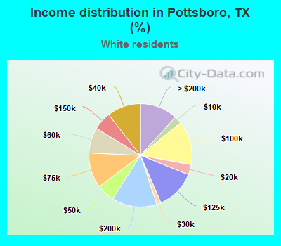 Income distribution in Pottsboro, TX (%)