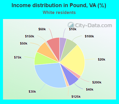 Income distribution in Pound, VA (%)