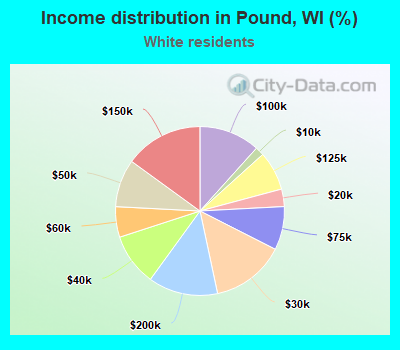 Income distribution in Pound, WI (%)