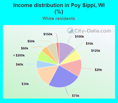 Income distribution in Poy Sippi, WI (%)