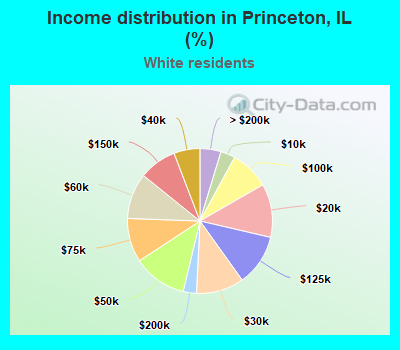 Income distribution in Princeton, IL (%)