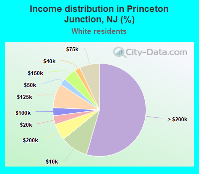 Income distribution in Princeton Junction, NJ (%)