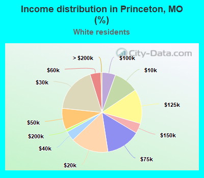 Income distribution in Princeton, MO (%)