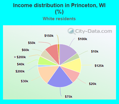 Income distribution in Princeton, WI (%)