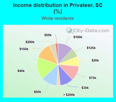 Income distribution in Privateer, SC (%)