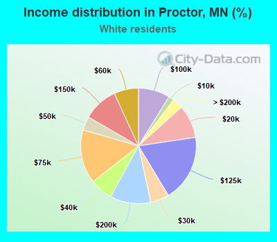 Income distribution in Proctor, MN (%)