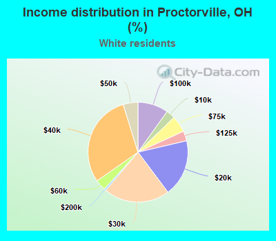Income distribution in Proctorville, OH (%)