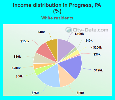 Income distribution in Progress, PA (%)