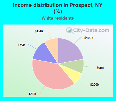 Income distribution in Prospect, NY (%)