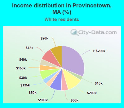 Income distribution in Provincetown, MA (%)